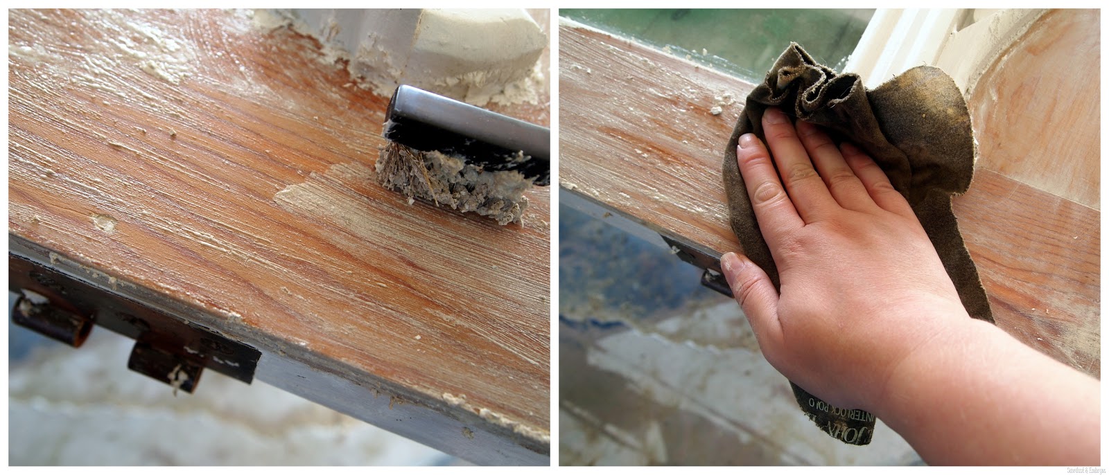 [Stripping-Paint-Sawdust-and-Embryos3.jpg]