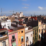 P6134271.JPG