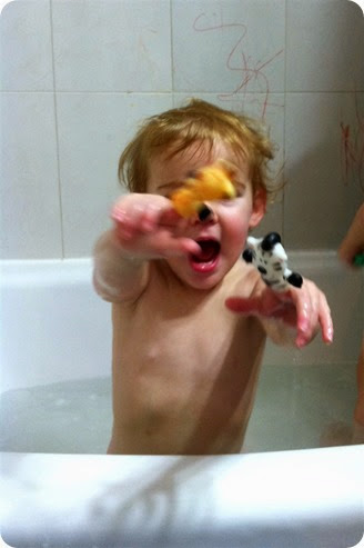 img_2824 img_2824