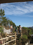 IMG_4008.JPG