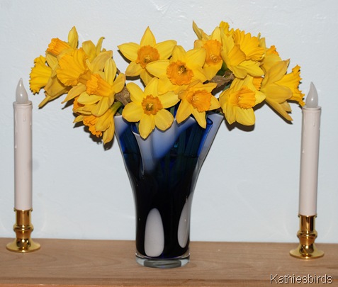 8. daffodils-kab