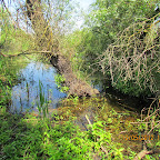 IMG_7678.JPG