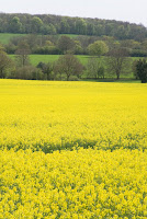 Hampshire countryside