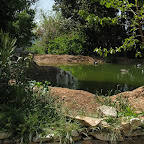 IMG_0291.jpg
