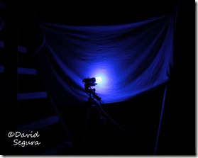 IMG_9877 IMG_9877