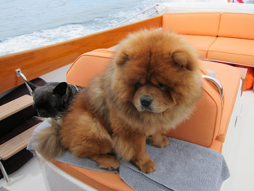 As first mate, I'm the officer in charge of the ship's engines and I have some serious authority!