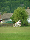 DSCF3591.JPG