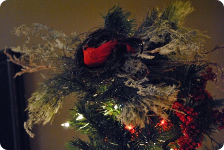 DSC_0031_picnik