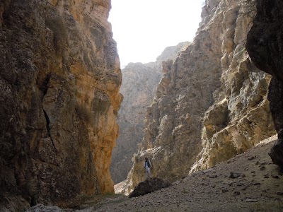 DSCN3950.jpg