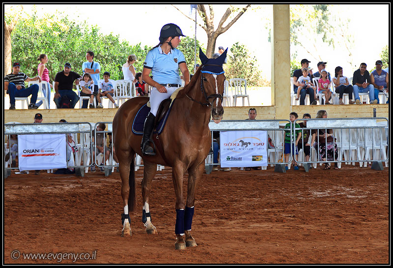 il/Фото: Stallion Show 2011 (20110416 stllion show 008 1999)