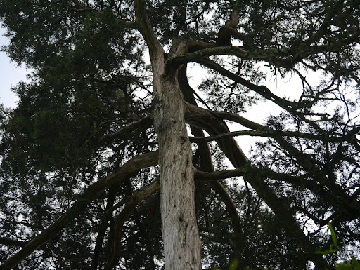 P1060146