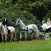 2011-09 Ruiter escorte_0022.jpg