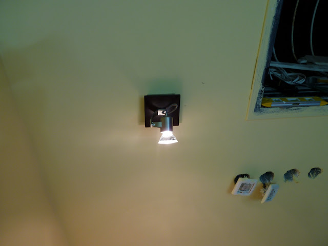P1000516.JPG