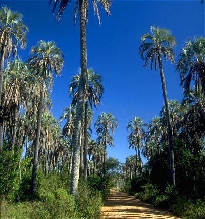 [elpalmar2%255B4%255D.jpg]