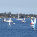 DSC00201c.jpg