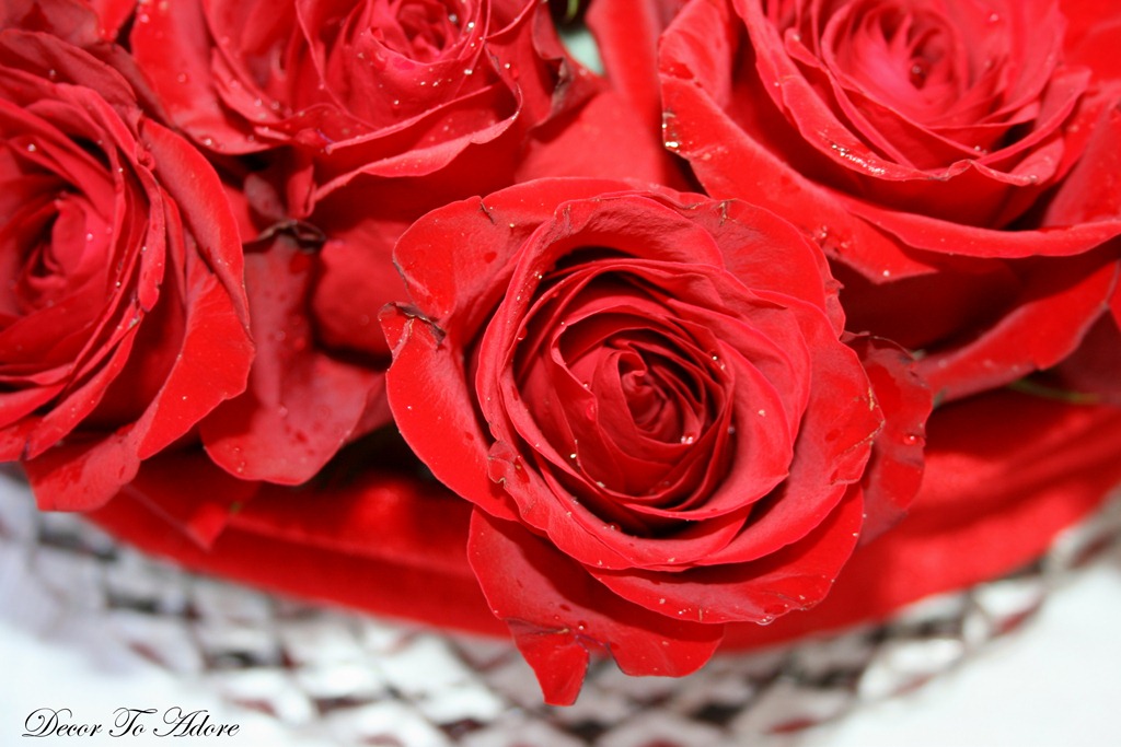 [flowers%2520029%255B3%255D.jpg]