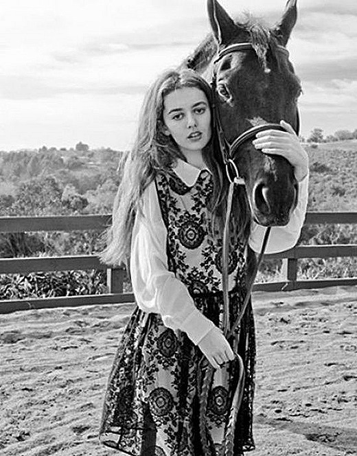 [clip_image025%255B4%255D.jpg]