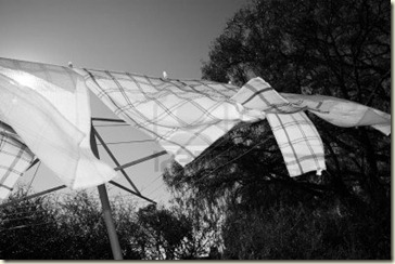 tea-towels-on-the-washing-line tea-towels-on-the-washing-line