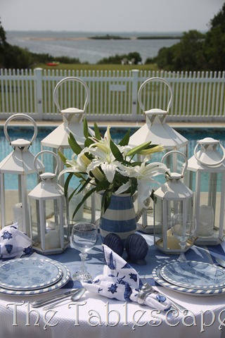 [Nantucket-Blues-0513.jpg]