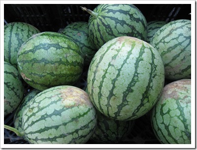 watermelon sugar baby