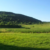 Revitalizácia biotopu močiara