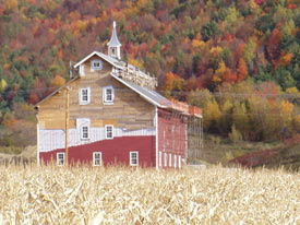 This photo came from the VYCC web site.