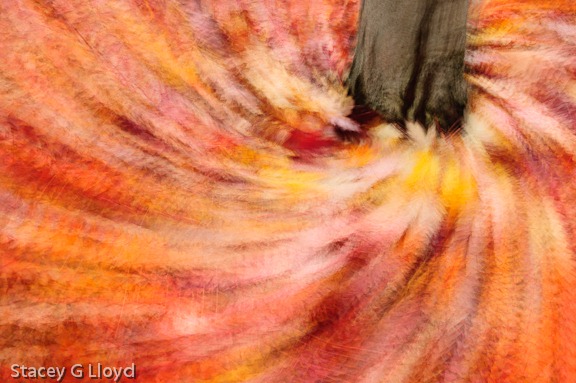 [Blog_20111114_1-4%255B5%255D.jpg]