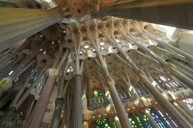 [IMG_9781%255B4%255D.jpg]