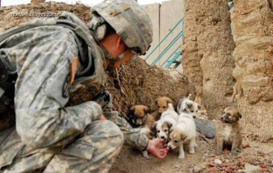 You don't take a photograph, you make it. - Ansel Adams