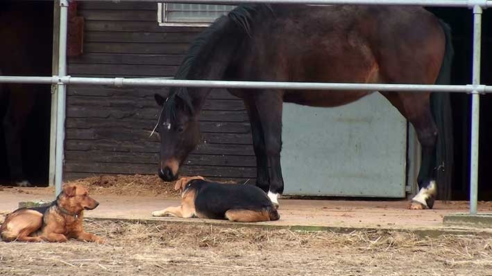 [20130302150856-%25285%2529%255B2%255D.jpg]