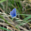 DSC_0740.jpg