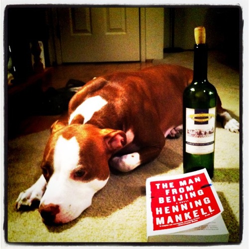 Wine a Book and a Pooch