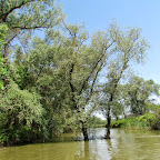 IMG_7736.JPG