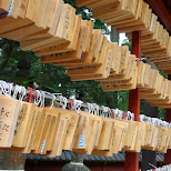 toshogu shrine in Nikko, Japan by Matt van Vuuren in Nikko, Totigi (Tochigi) , Japan