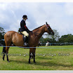 Light Horse 023.jpg
