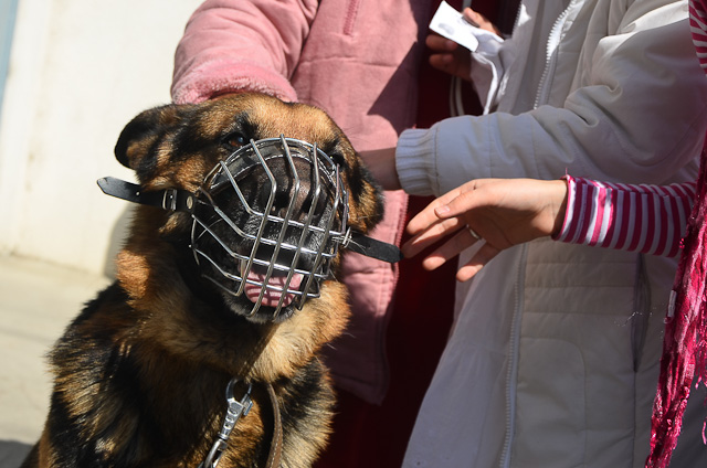 --XtoJTQjn3U_T2xn6I8IymI/AAAAAAAARoQ/B2cjGOMxIQY/s640