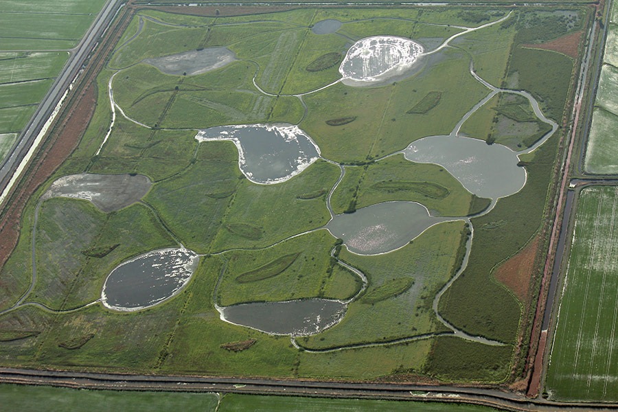 [110627_flying_round_ponds%255B2%255D.jpg]