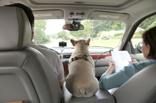 Here we go, Francesca!  Off with Uncle Carlos and Laura Acuna, going to an all too familiar place - the vet!  Only this time we aren't the patients.  We're going to pick up Bartok, the cat!