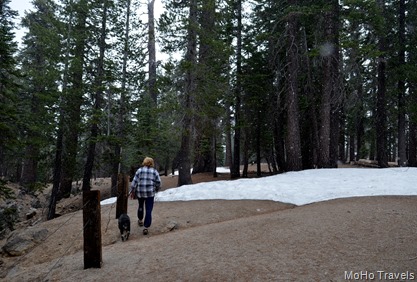 earthquake fault trail, and yes, it is snowing