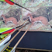 2013-03-31 13.09.30.jpg