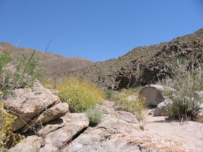 Desert scenery