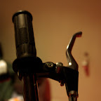 IMGP1161.JPG