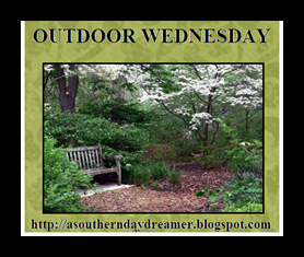Outdoor-Wednesday-button_thumb1_thum