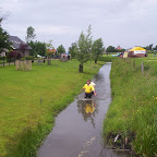 Pallas survival
