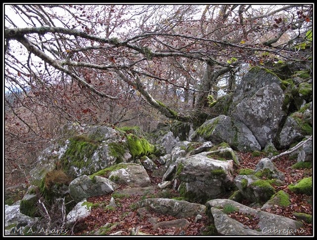 Arangoiti-Castellar 040