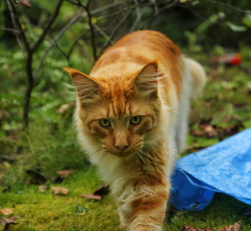 [IMG_9615%255B3%255D.jpg]