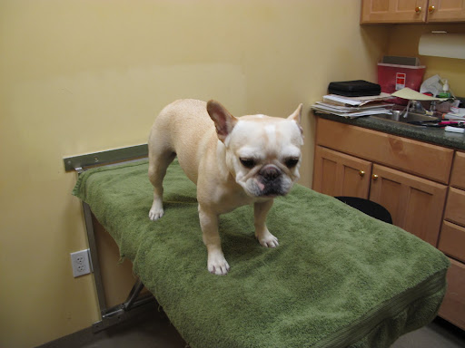 Why do doctors make patients wait so long?  It's humiliating standing here naked!