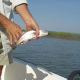 Fishing 002.jpg