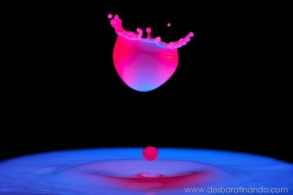 liquid-drop-art-gotas-caindo-foto-velocidade-hora-certa-desbaratinando (252)