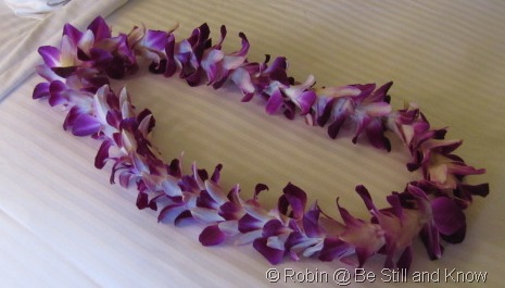 [IMG_6761%255B1%255D.jpg]